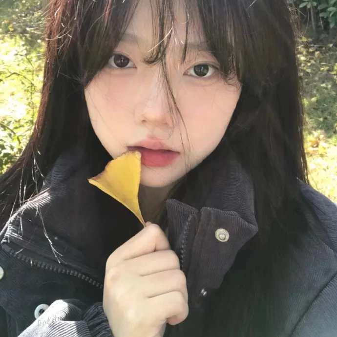 痞子猫 在线观看海报