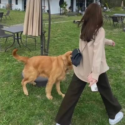精灵守护者第二部 轮播海报